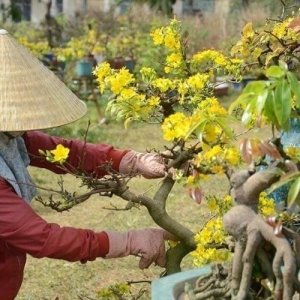 vtnn-333-dia-chi-vat-tu-nong-nghiep-uy-tin-tai-binh-chanh